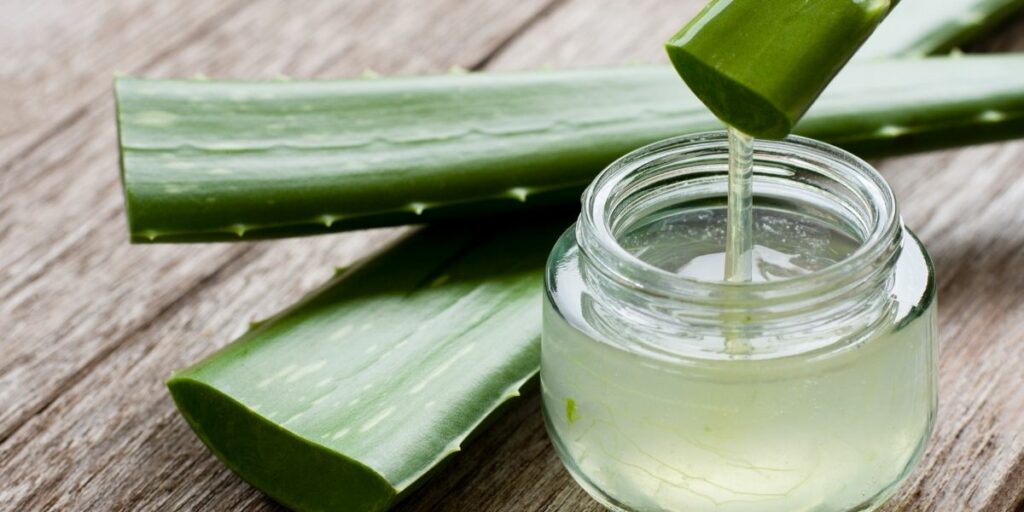 Aloe vera et bocal